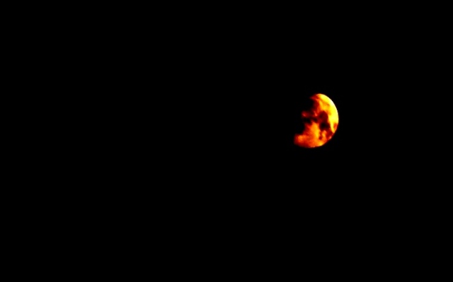 luna - trifiletti 2012